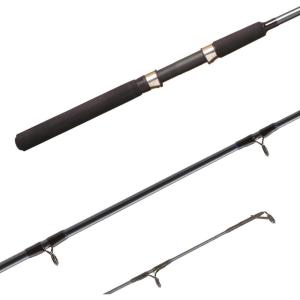imageShimano FXS 2 Piece Spinning Rod