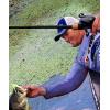 imageShimano CURADO DC LowProfile Baitcasting Freshwater Fishing ReelMulti